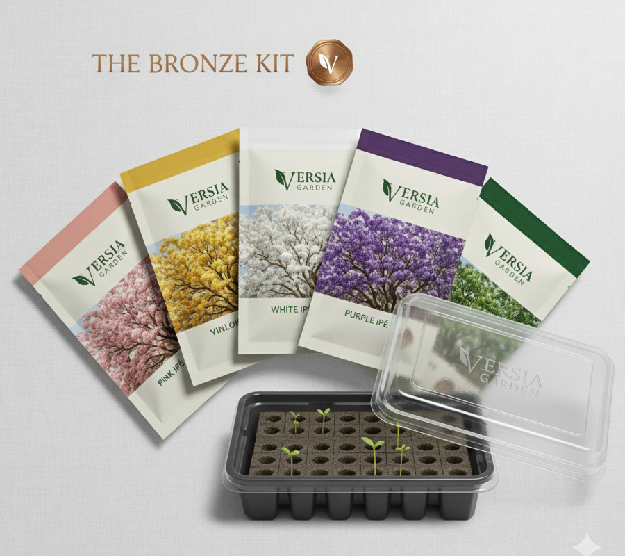 Bronze Hibiscus Planting Kit | Hibiscus Seeds